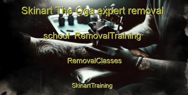 Skinart The Oga expert removal school | RemovalTraining | RemovalClasses | SkinartTraining-Italy