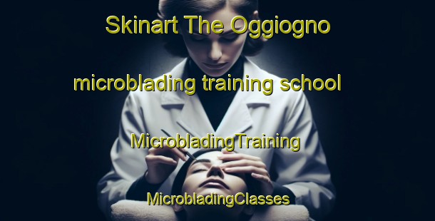 Skinart The Oggiogno microblading training school | #MicrobladingTraining #MicrobladingClasses #SkinartTraining-Italy