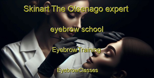 Skinart The Olsenago expert eyebrow school | EyebrowTraining | EyebrowClasses | SkinartTraining-Italy