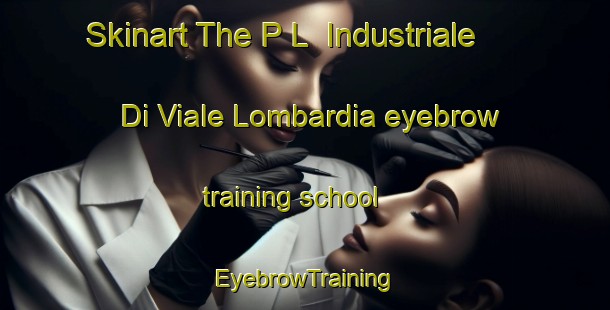Skinart The P L  Industriale Di Viale Lombardia eyebrow training school | EyebrowTraining | EyebrowClasses | SkinartTraining-Italy