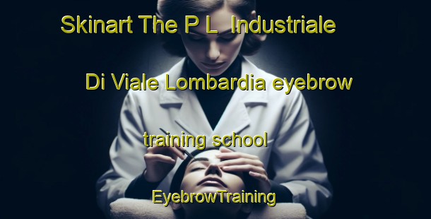 Skinart The P L  Industriale Di Viale Lombardia eyebrow training school | EyebrowTraining | EyebrowClasses | SkinartTraining-Italy