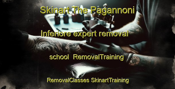 Skinart The Pagannoni Inferiore expert removal school | #RemovalTraining #RemovalClasses #SkinartTraining-Italy