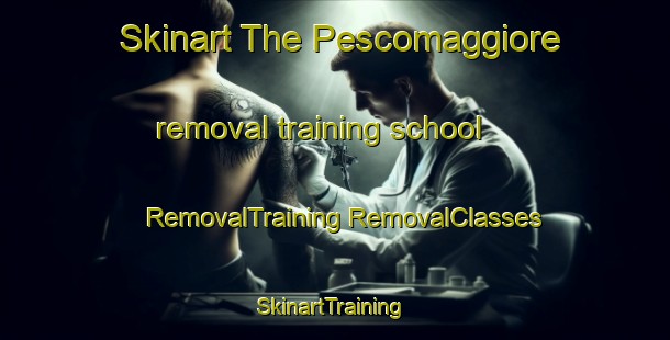 Skinart The Pescomaggiore removal training school | #RemovalTraining #RemovalClasses #SkinartTraining-Italy