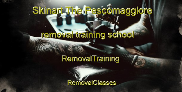 Skinart The Pescomaggiore removal training school | RemovalTraining | RemovalClasses | SkinartTraining-Italy