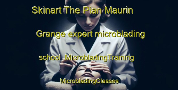 Skinart The Pian Maurin   Grange expert microblading school | #MicrobladingTraining #MicrobladingClasses #SkinartTraining-Italy