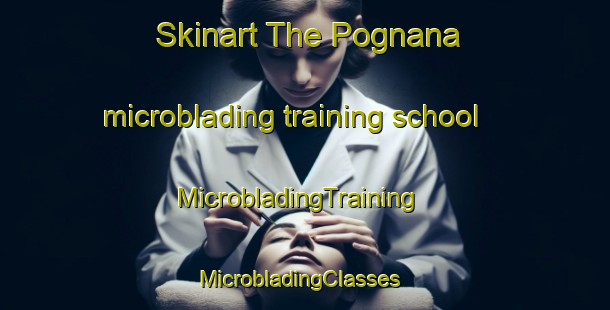 Skinart The Pognana microblading training school | MicrobladingTraining | MicrobladingClasses | SkinartTraining-Italy