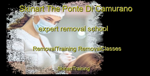 Skinart The Ponte Di Camurano expert removal school | #RemovalTraining #RemovalClasses #SkinartTraining-Italy