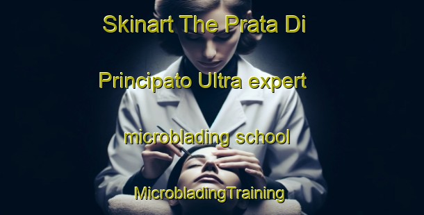 Skinart The Prata Di Principato Ultra expert microblading school | #MicrobladingTraining #MicrobladingClasses #SkinartTraining-Italy