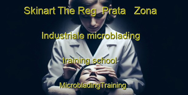 Skinart The Reg  Prata   Zona Industriale microblading training school | #MicrobladingTraining #MicrobladingClasses #SkinartTraining-Italy