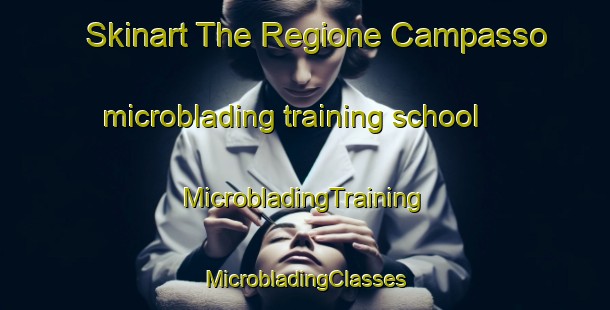 Skinart The Regione Campasso microblading training school | #MicrobladingTraining #MicrobladingClasses #SkinartTraining-Italy