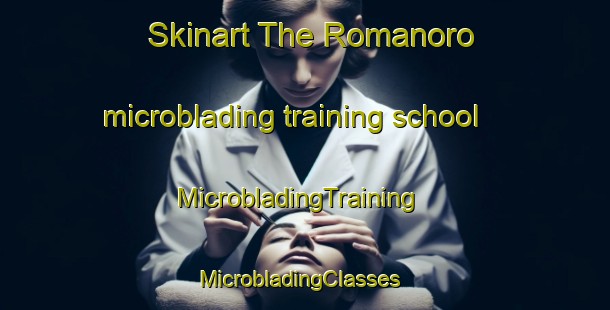 Skinart The Romanoro microblading training school | MicrobladingTraining | MicrobladingClasses | SkinartTraining-Italy