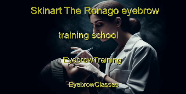 Skinart The Ronago eyebrow training school | EyebrowTraining | EyebrowClasses | SkinartTraining-Italy