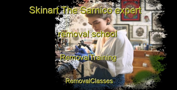 Skinart The Sarnico expert removal school | RemovalTraining | RemovalClasses | SkinartTraining-Italy