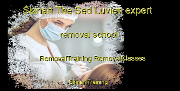 Skinart The Sed Luvien expert removal school | #RemovalTraining #RemovalClasses #SkinartTraining-Italy