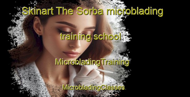 Skinart The Sorba microblading training school | MicrobladingTraining | MicrobladingClasses | SkinartTraining-Italy