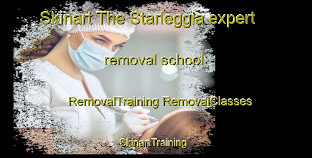 Skinart The Starleggia expert removal school | #RemovalTraining #RemovalClasses #SkinartTraining-Italy