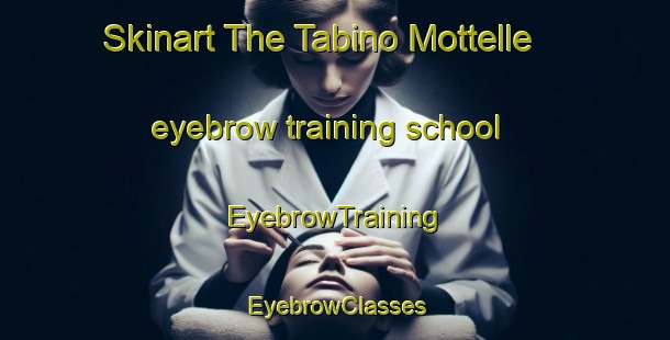 Skinart The Tabino Mottelle eyebrow training school | EyebrowTraining | EyebrowClasses | SkinartTraining-Italy