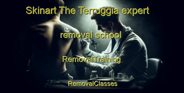 Skinart The Terruggia expert removal school | RemovalTraining | RemovalClasses | SkinartTraining-Italy