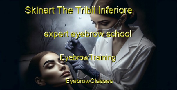 Skinart The Tribil Inferiore expert eyebrow school | EyebrowTraining | EyebrowClasses | SkinartTraining-Italy