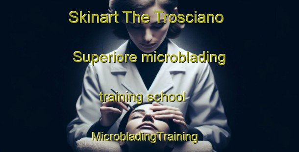 Skinart The Trosciano Superiore microblading training school | MicrobladingTraining | MicrobladingClasses | SkinartTraining-Italy