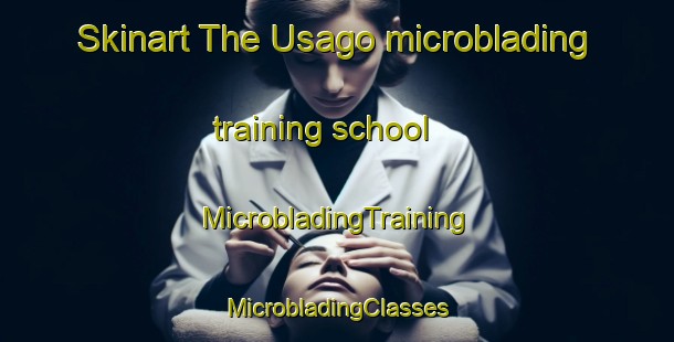 Skinart The Usago microblading training school | #MicrobladingTraining #MicrobladingClasses #SkinartTraining-Italy