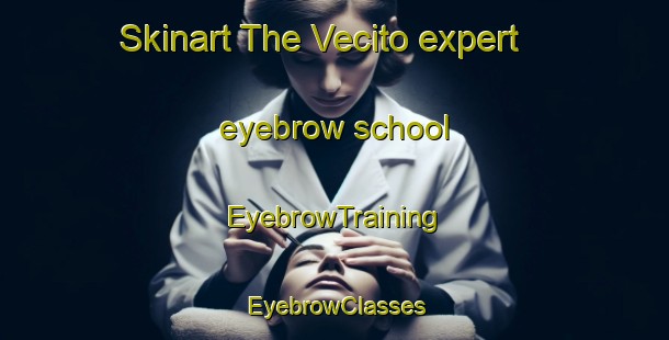 Skinart The Vecito expert eyebrow school | EyebrowTraining | EyebrowClasses | SkinartTraining-Italy