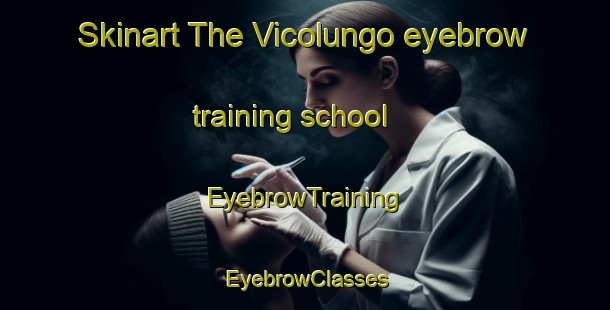 Skinart The Vicolungo eyebrow training school | EyebrowTraining | EyebrowClasses | SkinartTraining-Italy