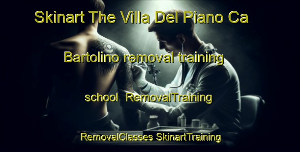 Skinart The Villa Del Piano Ca  Bartolino removal training school | #RemovalTraining #RemovalClasses #SkinartTraining-Italy