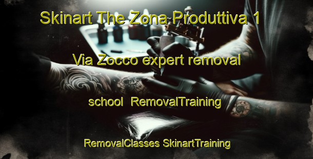 Skinart The Zona Produttiva 1 Via Zocco expert removal school | #RemovalTraining #RemovalClasses #SkinartTraining-Italy