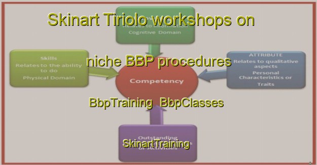 Skinart Tiriolo workshops on niche BBP procedures | BbpTraining | BbpClasses | SkinartTraining-Italy