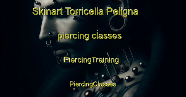 Skinart Torricella Peligna piercing classes | #PiercingTraining #PiercingClasses #SkinartTraining-Italy