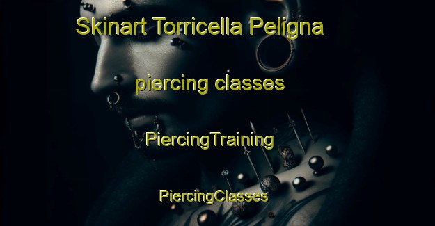 Skinart Torricella Peligna piercing classes | PiercingTraining | PiercingClasses | SkinartTraining-Italy