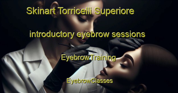 Skinart Torricelli Superiore introductory eyebrow sessions | EyebrowTraining | EyebrowClasses | SkinartTraining-Italy