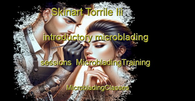 Skinart Torrile Iii introductory microblading sessions | #MicrobladingTraining #MicrobladingClasses #SkinartTraining-Italy