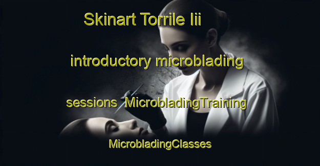 Skinart Torrile Iii introductory microblading sessions | #MicrobladingTraining #MicrobladingClasses #SkinartTraining-Italy