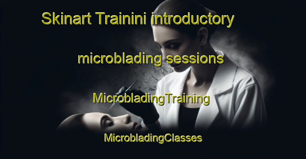 Skinart Trainini introductory microblading sessions | #MicrobladingTraining #MicrobladingClasses #SkinartTraining-Italy