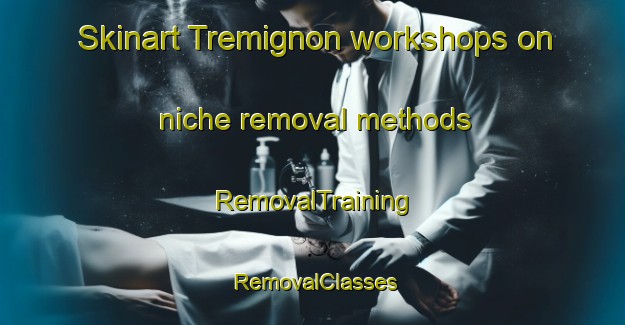 Skinart Tremignon workshops on niche removal methods | RemovalTraining | RemovalClasses | SkinartTraining-Italy