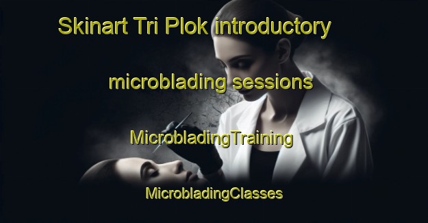 Skinart Tri Plok introductory microblading sessions | #MicrobladingTraining #MicrobladingClasses #SkinartTraining-Italy