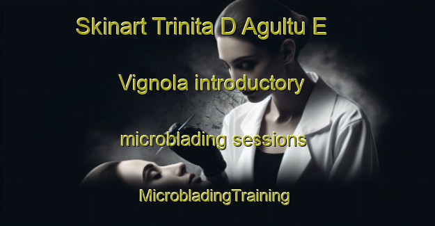 Skinart Trinita D Agultu E Vignola introductory microblading sessions | #MicrobladingTraining #MicrobladingClasses #SkinartTraining-Italy