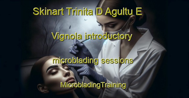 Skinart Trinita D Agultu E Vignola introductory microblading sessions | #MicrobladingTraining #MicrobladingClasses #SkinartTraining-Italy