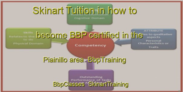 Skinart Tuition in how to become BBP certified in the Piainillo area | BbpTraining | BbpClasses | SkinartTraining-Italy
