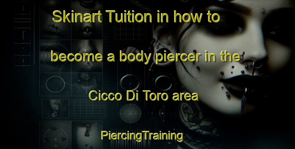 Skinart Tuition in how to become a body piercer in the Cicco Di Toro area | PiercingTraining | PiercingClasses | SkinartTraining-Italy