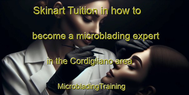 Skinart Tuition in how to become a microblading expert in the Cordigliano area | MicrobladingTraining | MicrobladingClasses | SkinartTraining-Italy