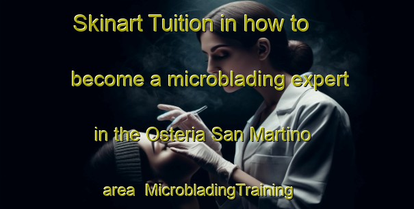 Skinart Tuition in how to become a microblading expert in the Osteria San Martino area | MicrobladingTraining | MicrobladingClasses | SkinartTraining-Italy