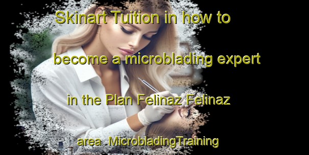 Skinart Tuition in how to become a microblading expert in the Plan Felinaz Felinaz area | MicrobladingTraining | MicrobladingClasses | SkinartTraining-Italy