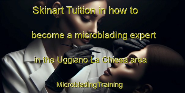 Skinart Tuition in how to become a microblading expert in the Uggiano La Chiesa area | MicrobladingTraining | MicrobladingClasses | SkinartTraining-Italy