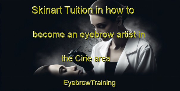 Skinart Tuition in how to become an eyebrow artist in the Cirie area | EyebrowTraining | EyebrowClasses | SkinartTraining-Italy