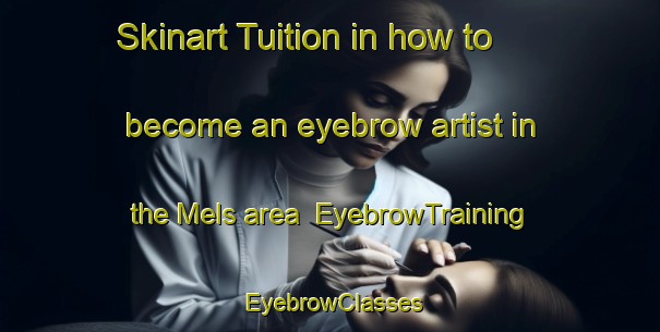 Skinart Tuition in how to become an eyebrow artist in the Mels area | EyebrowTraining | EyebrowClasses | SkinartTraining-Italy