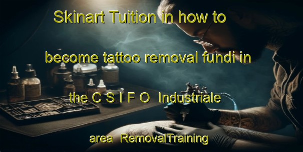 Skinart Tuition in how to become tattoo removal fundi in the C S I F O  Industriale area | RemovalTraining | RemovalClasses | SkinartTraining-Italy