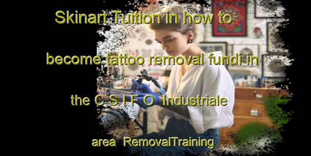 Skinart Tuition in how to become tattoo removal fundi in the C S I F O  Industriale area | RemovalTraining | RemovalClasses | SkinartTraining-Italy